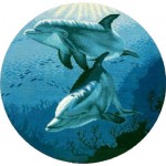 Набор для вышивания РТО Из морской серии "Дельфины"